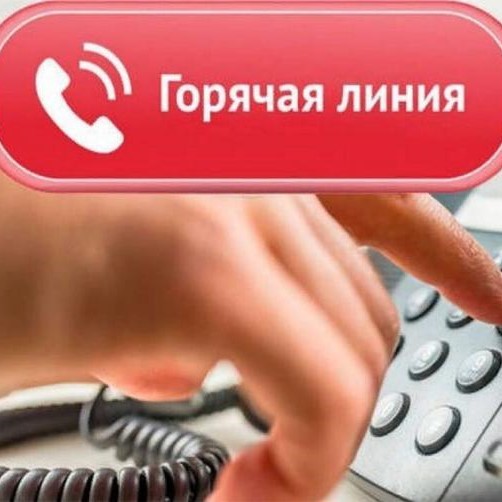 Обновляем информацию по «горячим линиям» импорта и экспорта