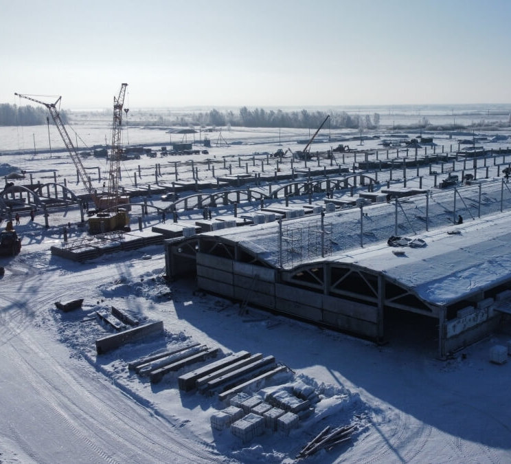 В Курганской области запустят новый крупный свинокомплекс производительностью 5 тысяч тонн свинины в живом весе
